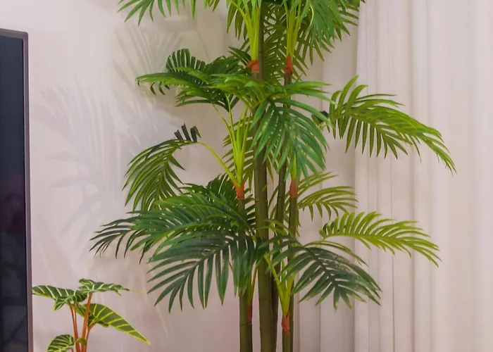 - Ferreiras Apartment